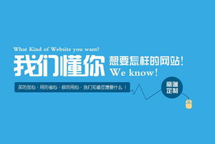 昆山专业网站制作 慕名供应