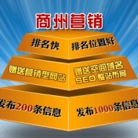 诺亚商舟天津汉沽区网络营销策划公司哪家好