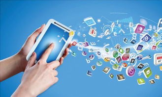 王院峰 企业网络营销活动中,最有效的推广计划