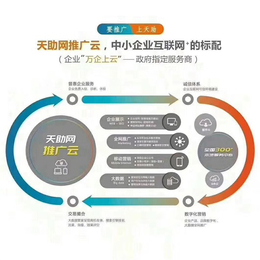 泰安网络营销策划如何实现搜索排名提升