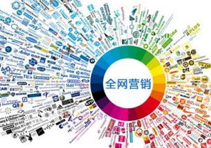 合肥企业网络营销培训与策划方案模板指南