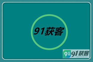 北京91获客与成都力欧互动科技 网络营销策划效果深度解析